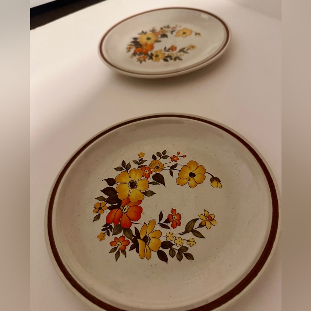 Hearthside Stoneware Floral Plates (Set of 2) - Chablis Japan